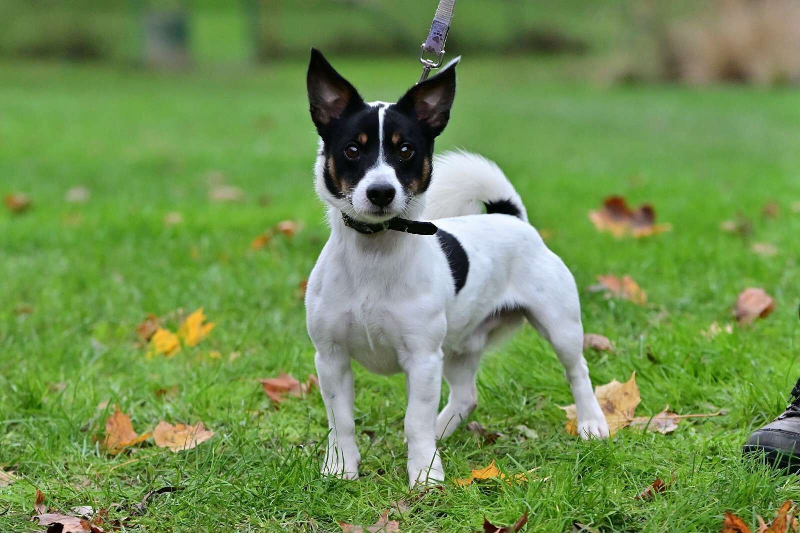 utulek 11 2025male--140